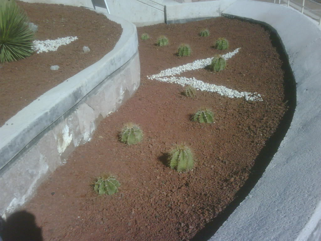 IMG00225-20120220-1018.jpg