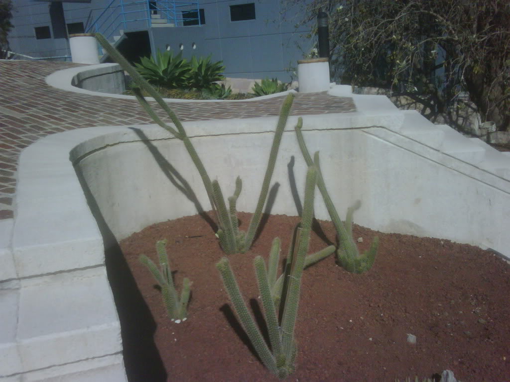 IMG00226-20120220-1019.jpg