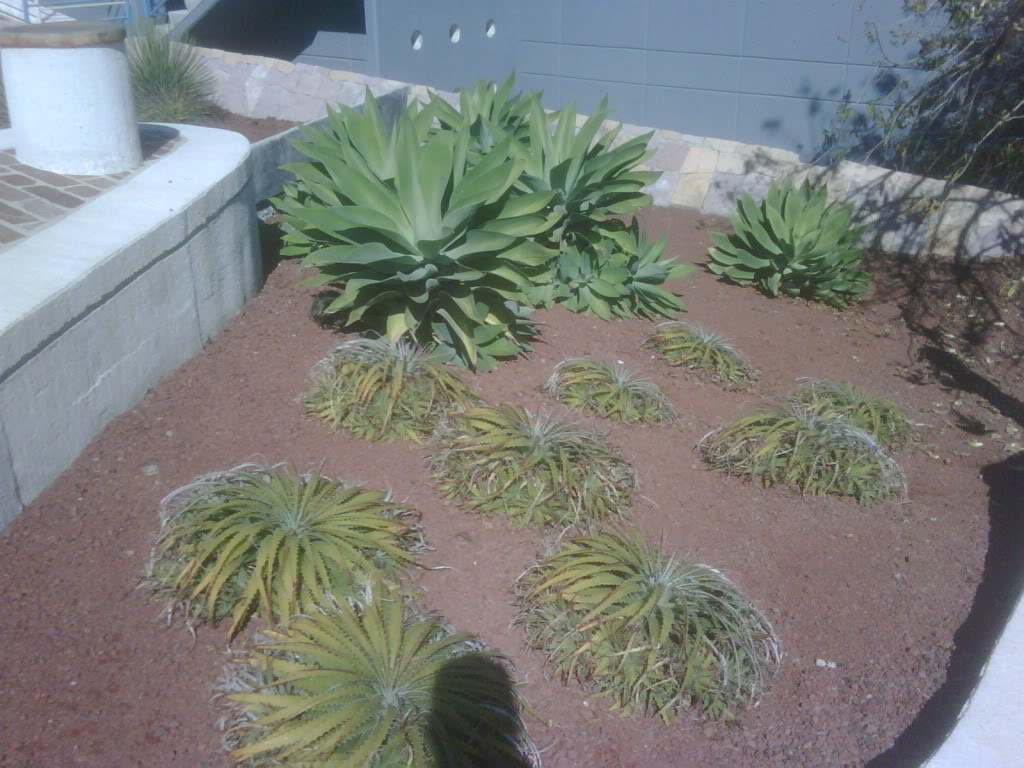IMG00227-20120220-1019.jpg