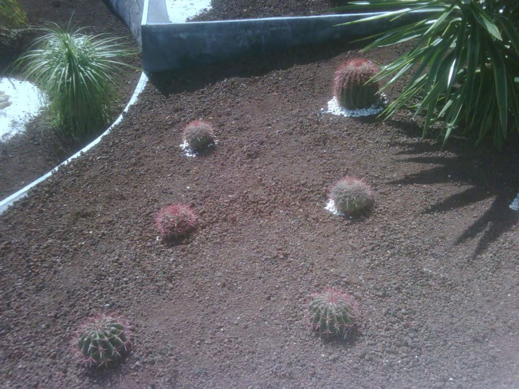 IMG00228-20120220-1019.jpg