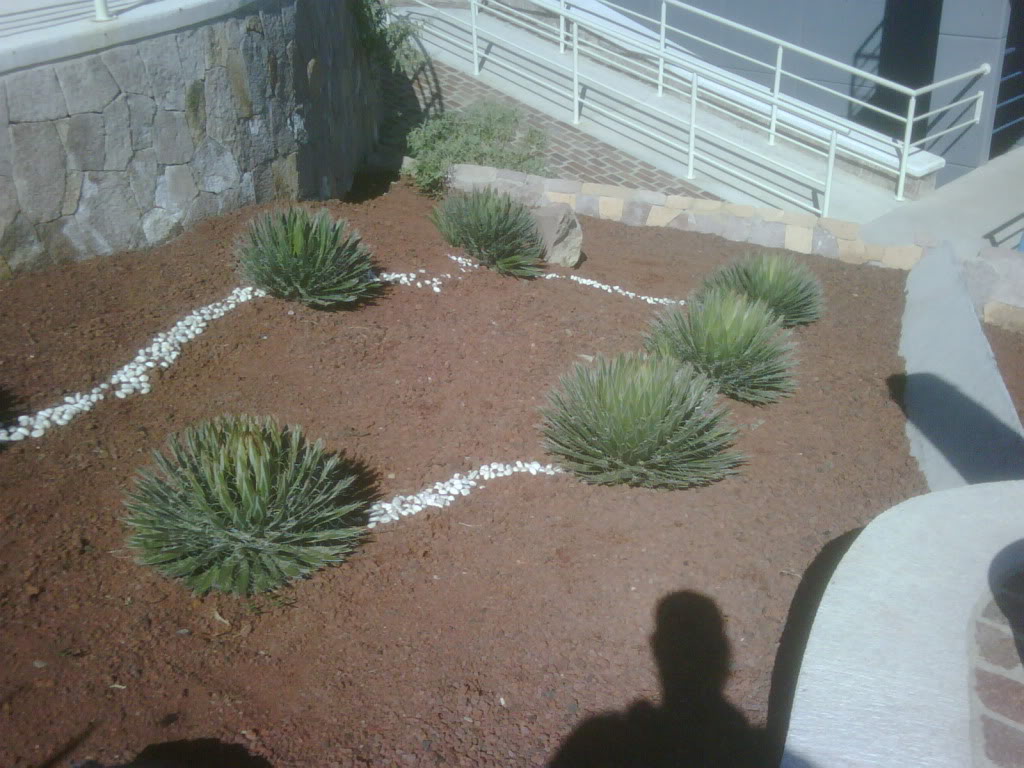 IMG00231-20120220-1019.jpg