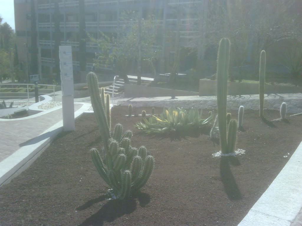 IMG00232-20120220-1020.jpg
