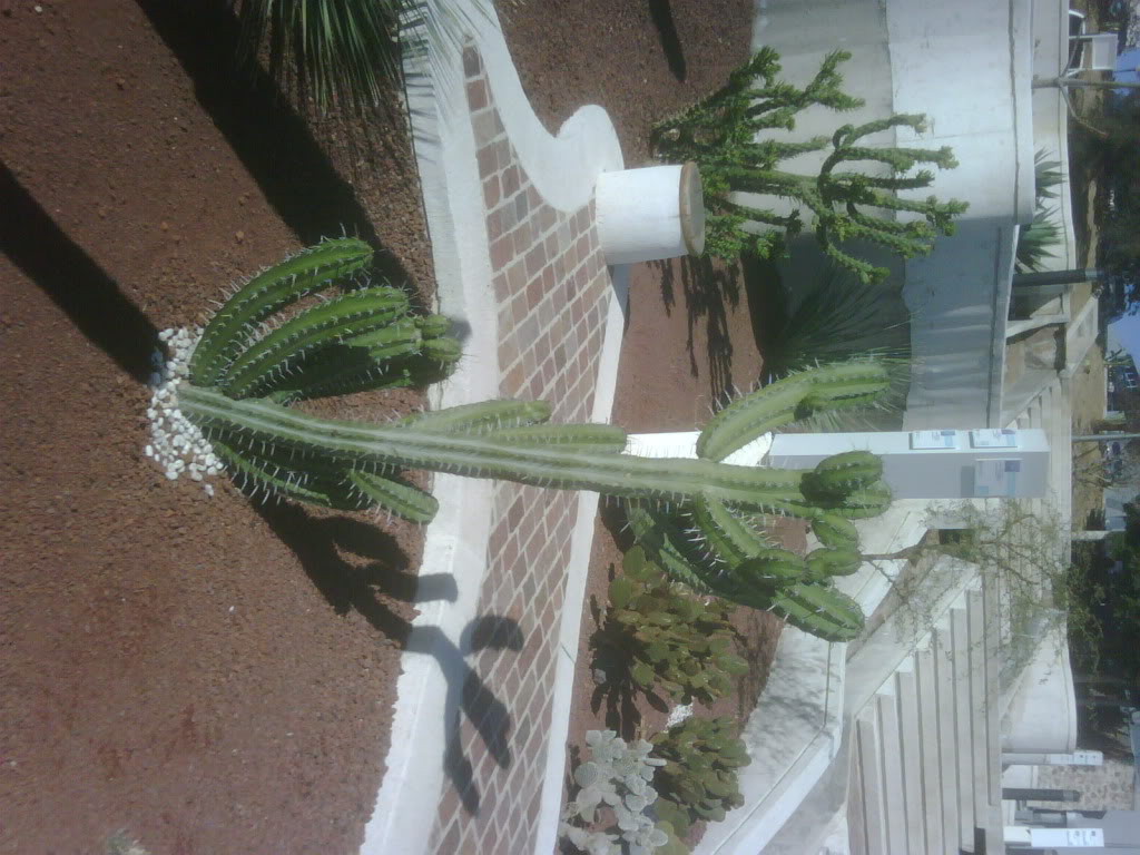 IMG00233-20120220-1020.jpg