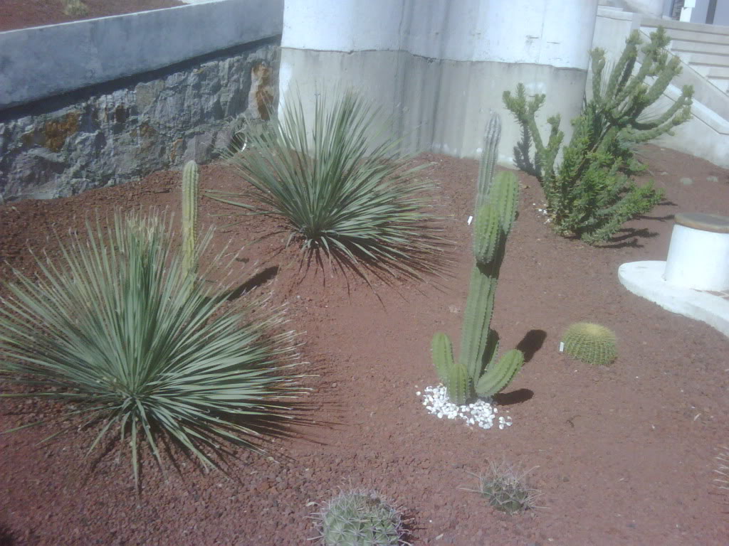 IMG00234-20120220-1020.jpg