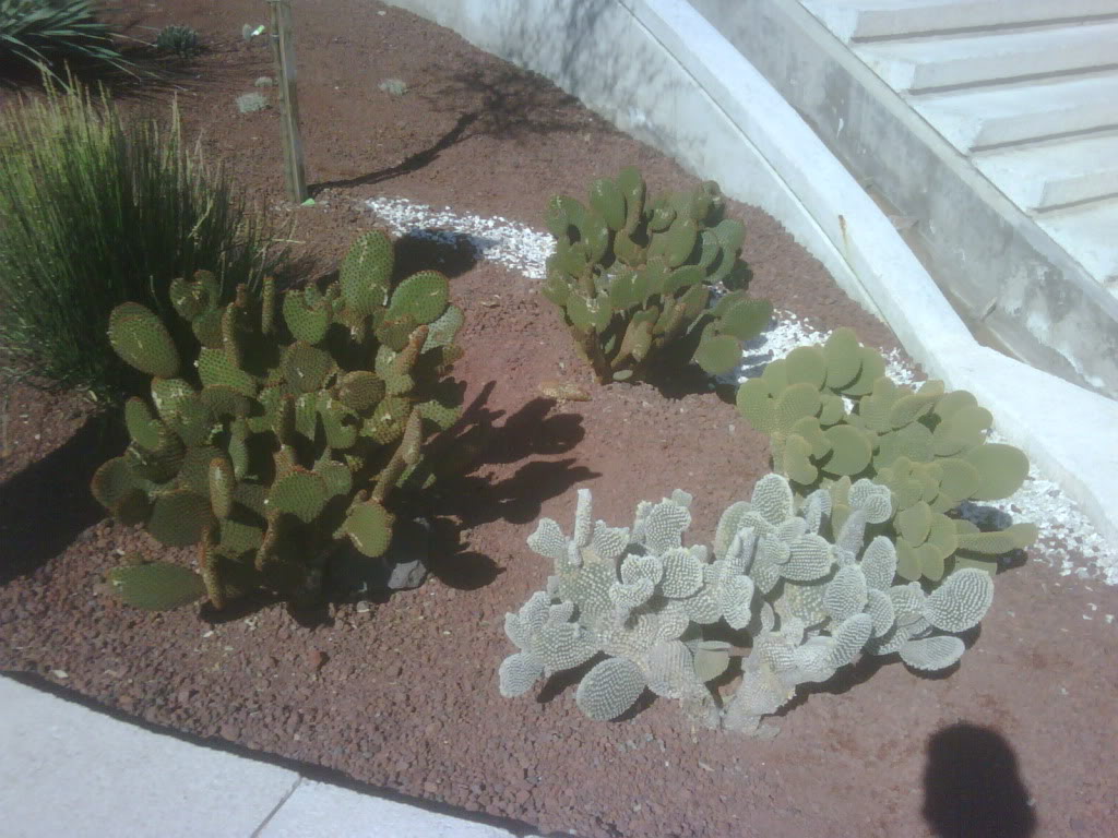 IMG00235-20120220-1020.jpg