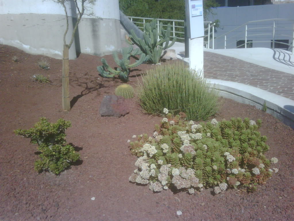 IMG00237-20120220-1021.jpg