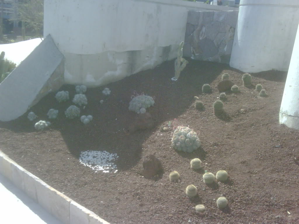 IMG00238-20120220-1021.jpg