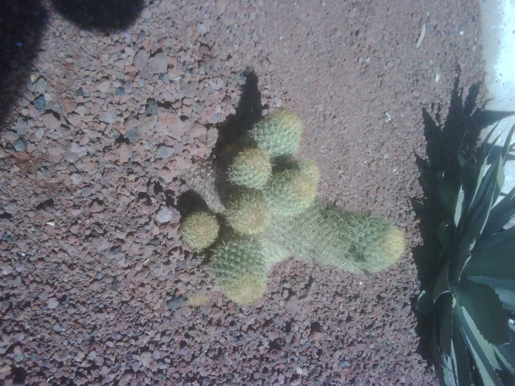 IMG00256-20120220-1026.jpg
