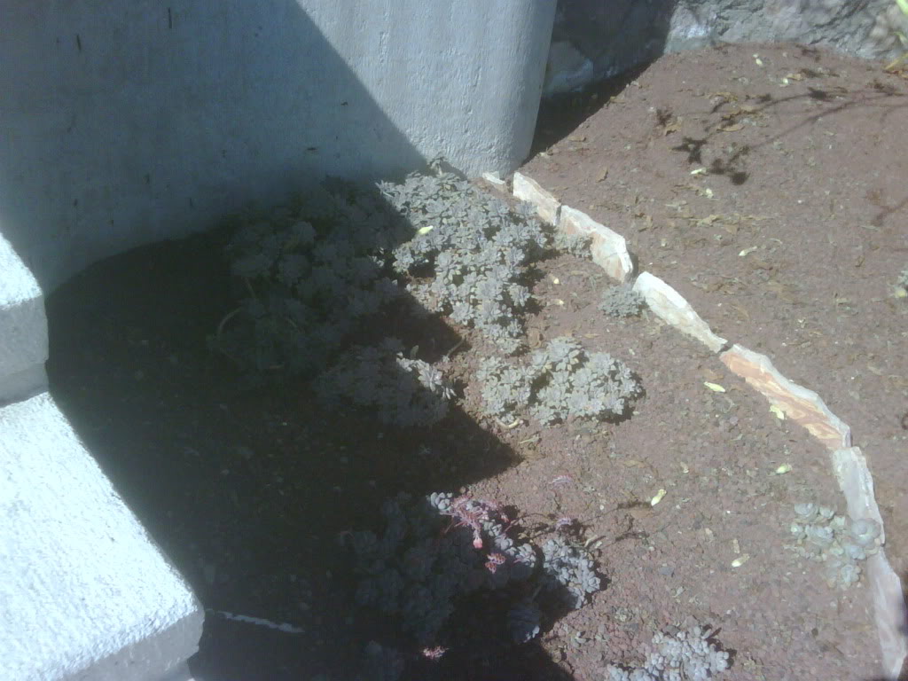 IMG00260-20120220-1028.jpg