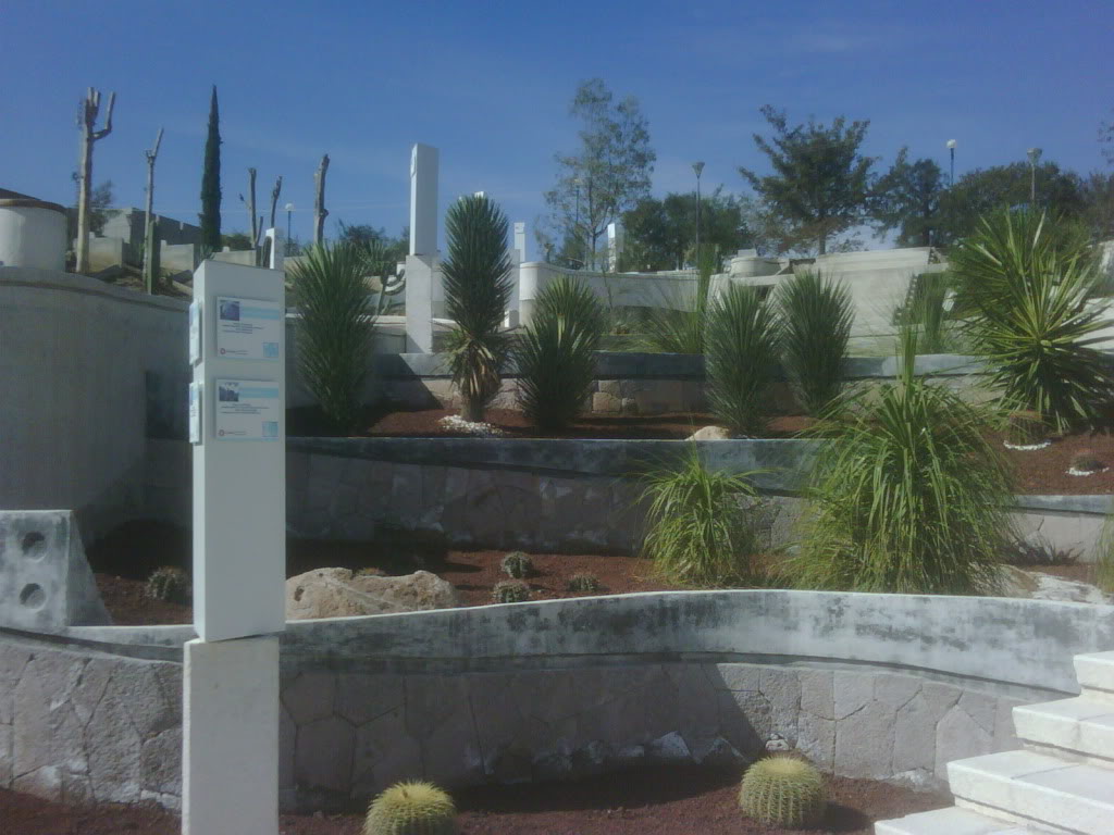 IMG00262-20120220-1029.jpg