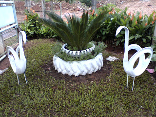 IMG00311.jpg