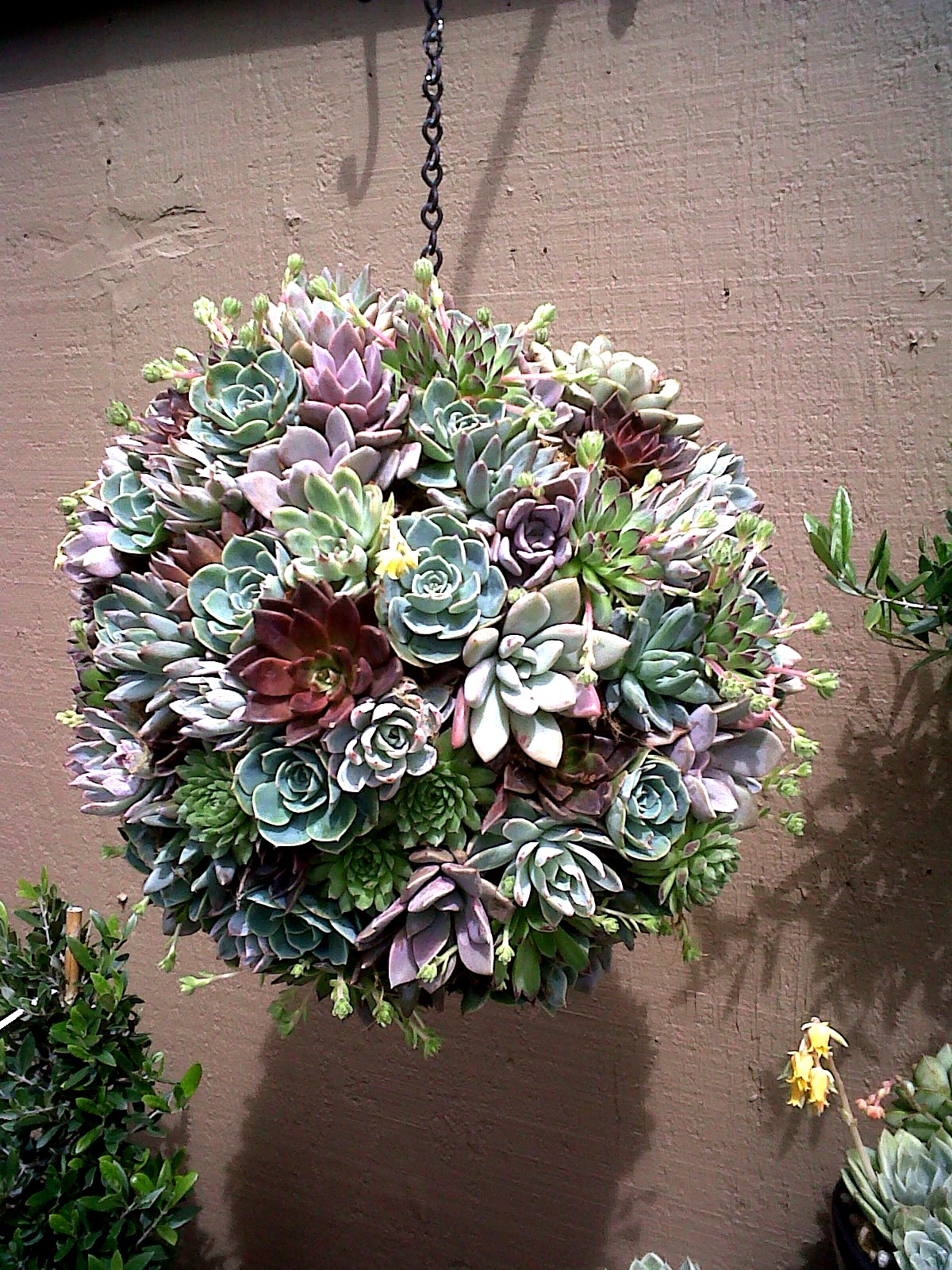 IMG00314-20110327-1423.jpg