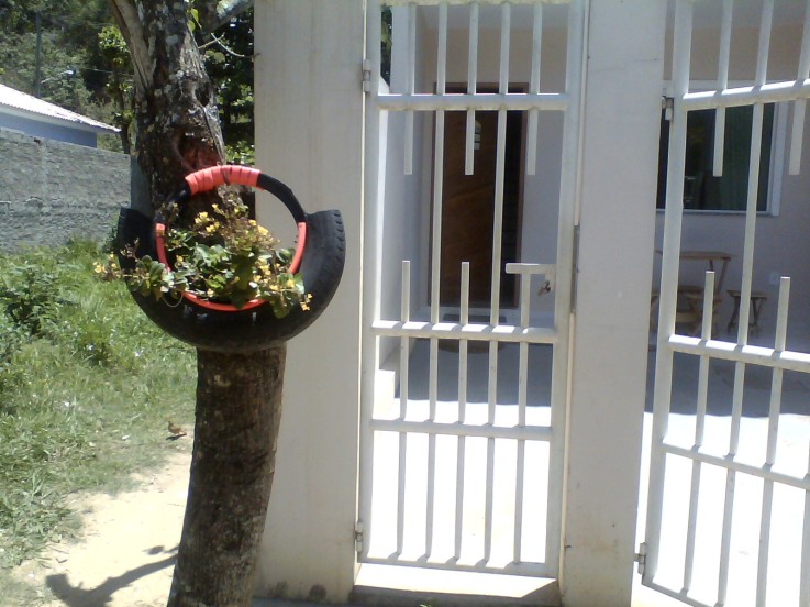 IMG00405.jpg