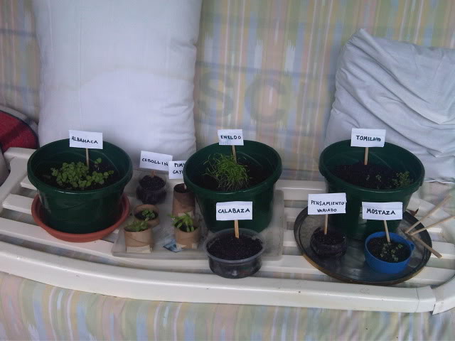 IMG00541-20100806-1528.jpg