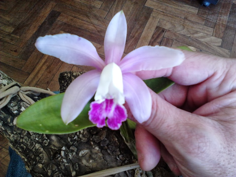 IMG00577.jpg