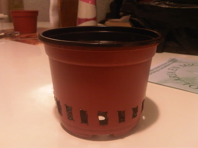 IMG01121-20101013-2048.jpg