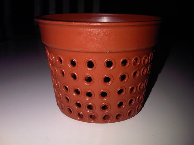 IMG01130-20101017-0141.jpg