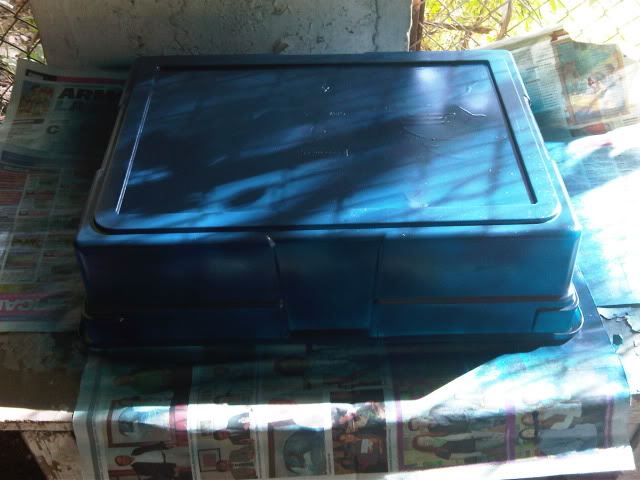 IMG01190-20101107-1507.jpg