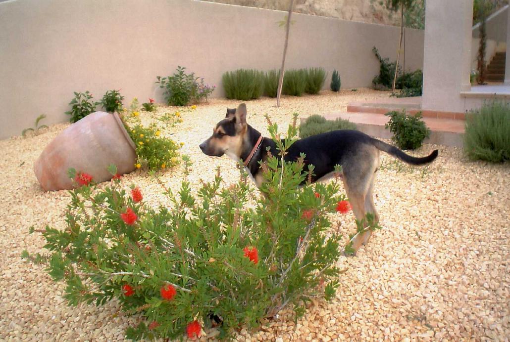 img043222.JPG
