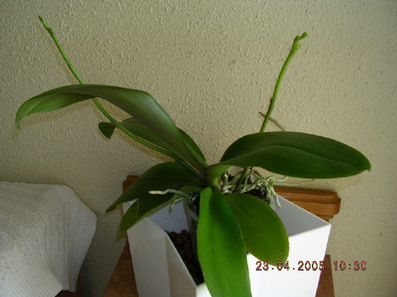 Img0943.JPG