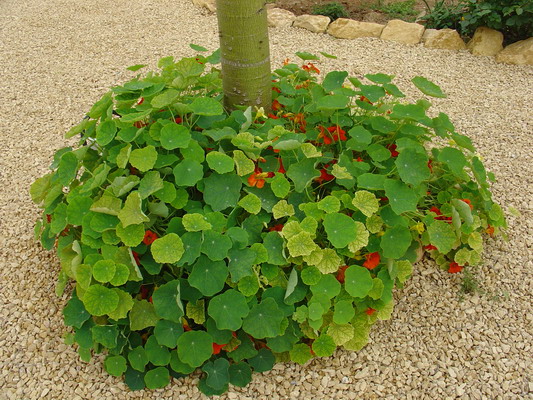 img1.JPG