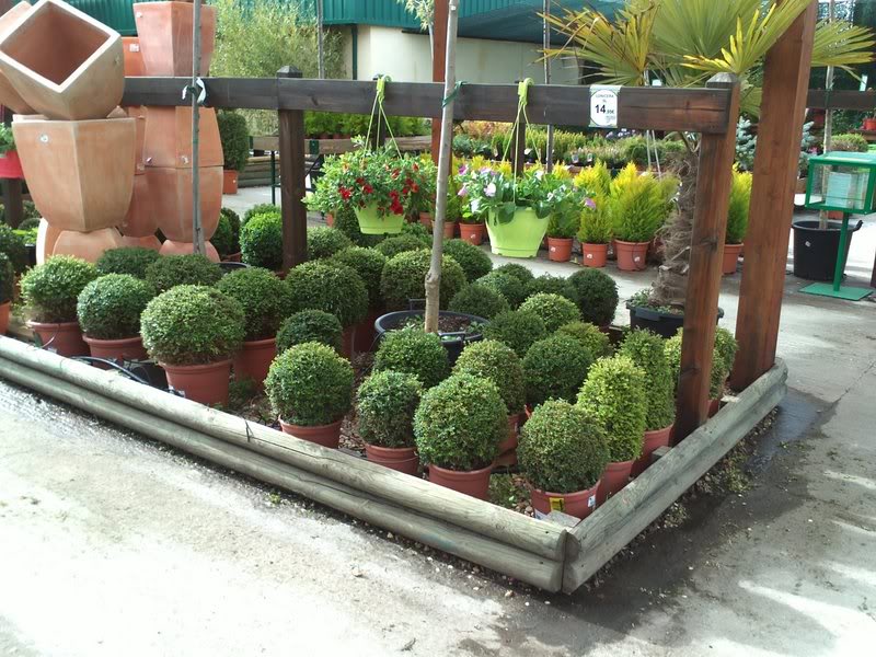 IMG110-1.jpg