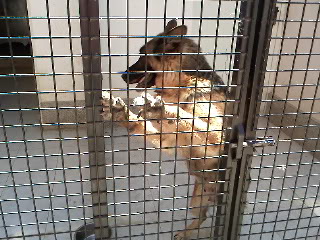 IMG142.jpg