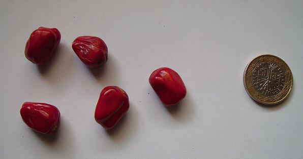 IMG15931.jpg