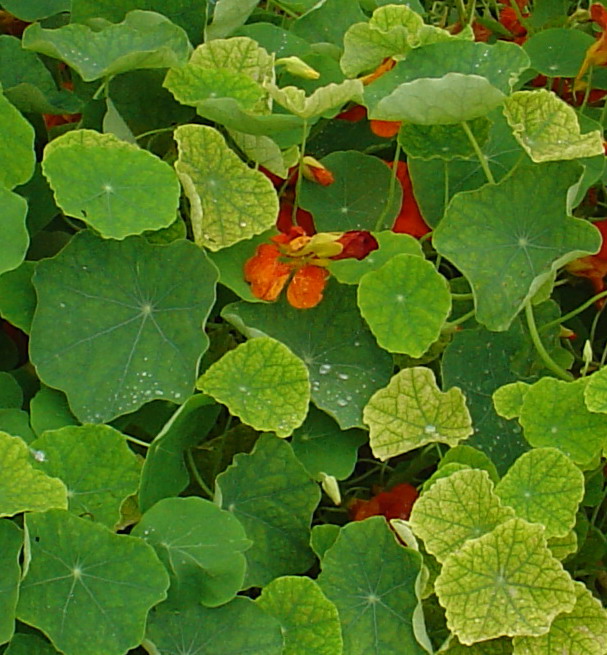 img2.jpg