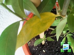 img20110723102735.jpg