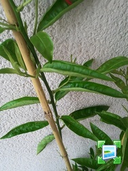 img20110723102752.jpg