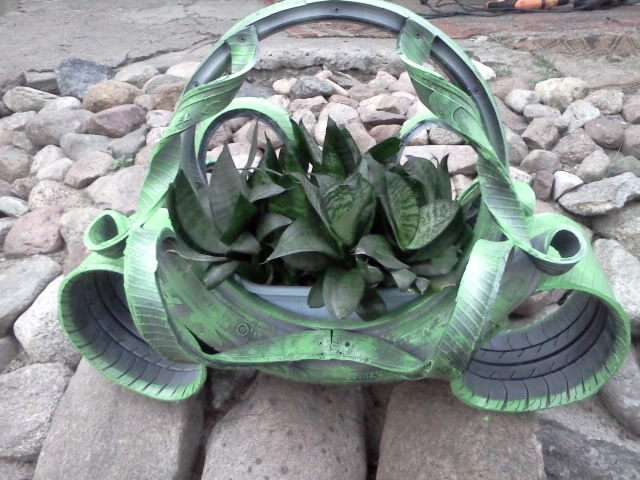IMG20120620_006.jpg