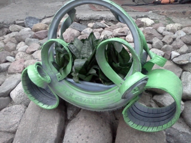 IMG20120620_007.jpg