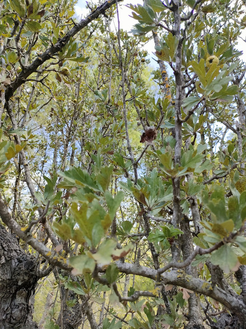 IMG20220826124441.jpg