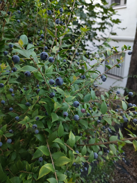 IMG20221113172430.jpg