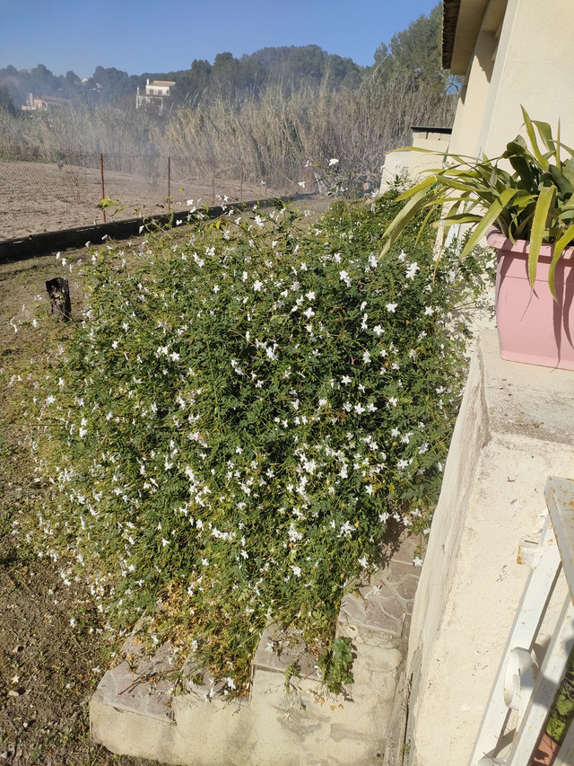 IMG20221227123249.jpg