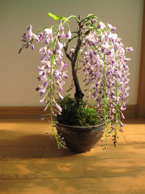 img56589728.jpg