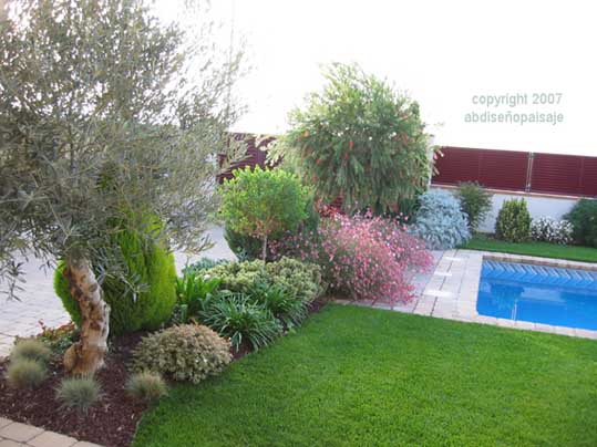 IMG_0001_copia.jpg
