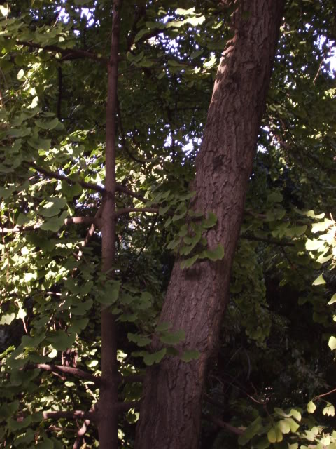 IMG_0005-2.jpg