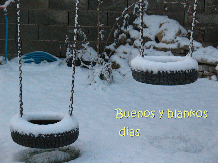 IMG_00102.png