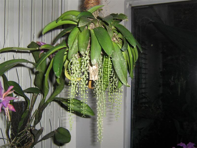 IMG_0016Medium.jpg