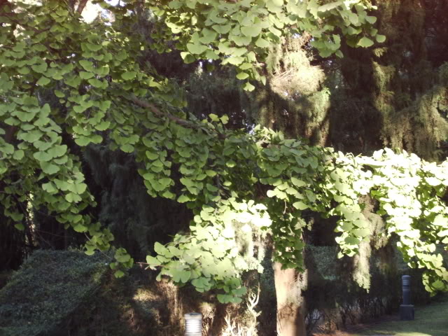 IMG_0021-2.jpg