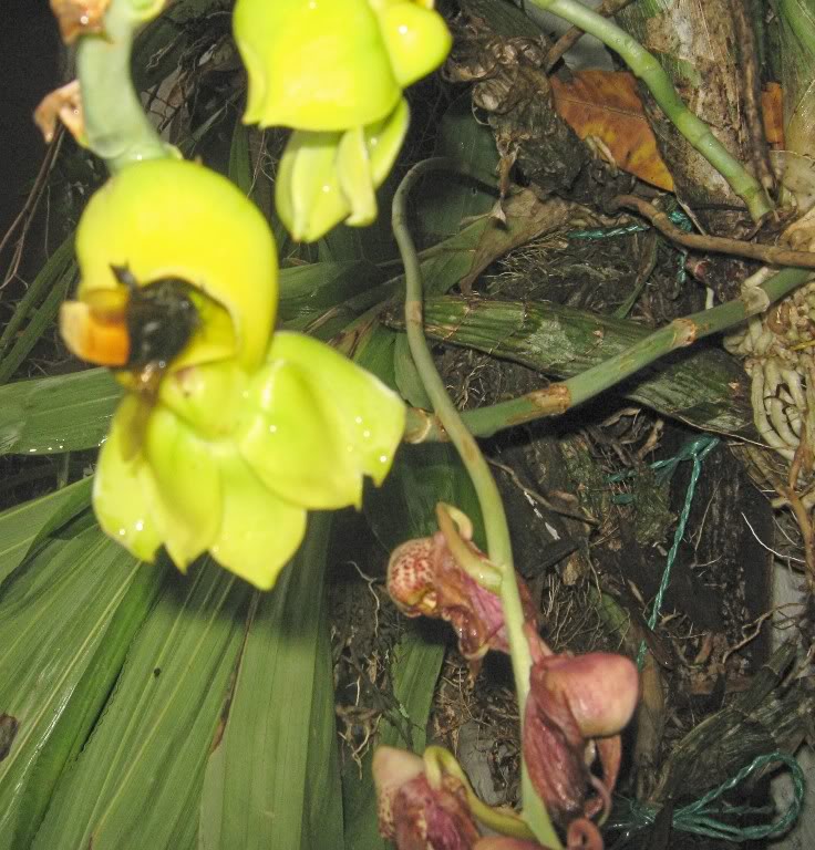 IMG_0021.jpg