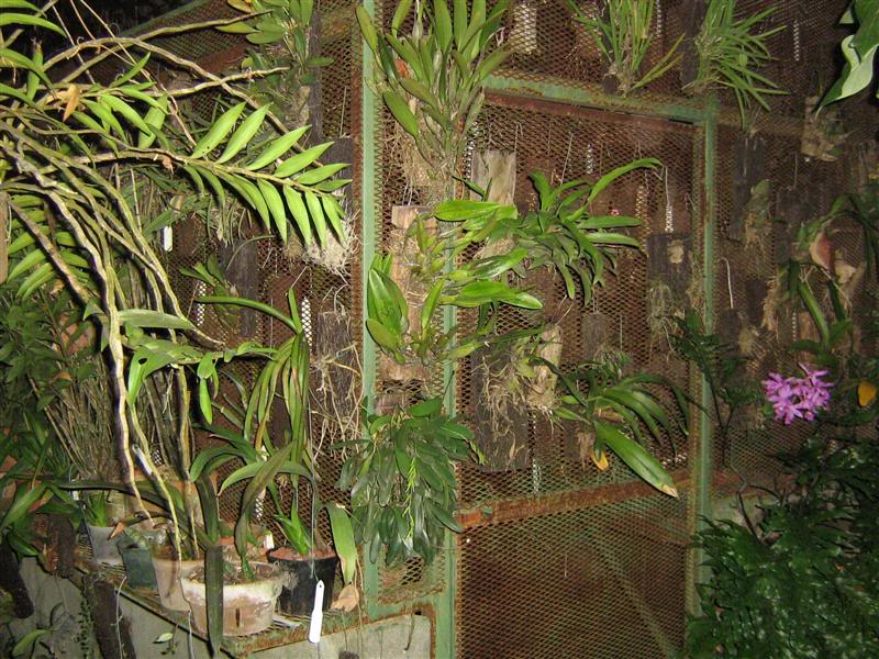 IMG_0034Medium.jpg