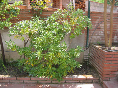 IMG_00471.jpg