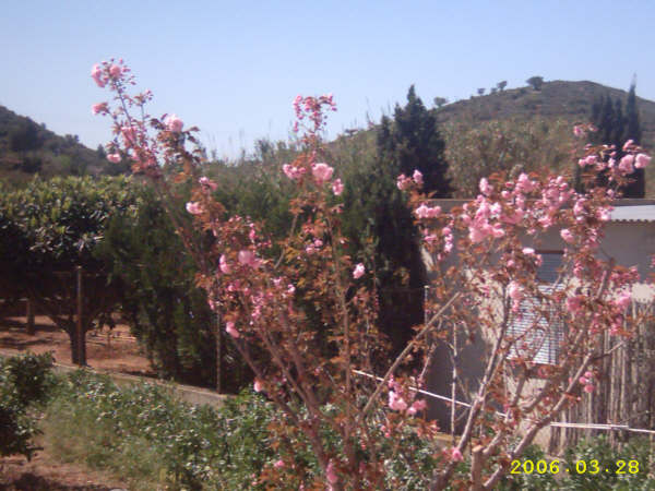 IMG_0056%7E1.JPG