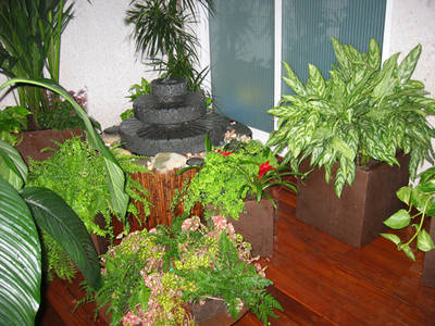 IMG_00633.jpg