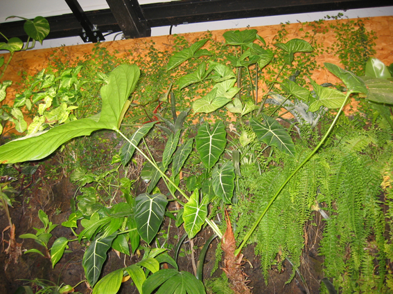 IMG_0078.jpg
