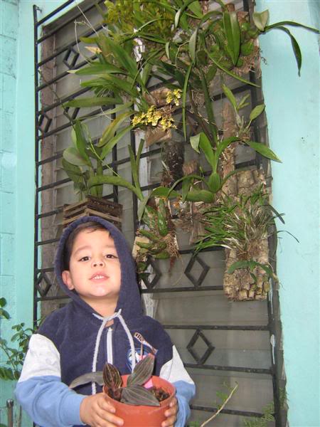 IMG_0103Medium.jpg