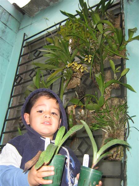 IMG_0104Medium.jpg